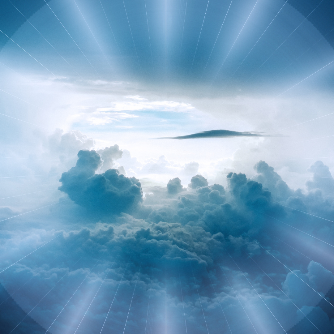 6790c17a3fd40885344971.png